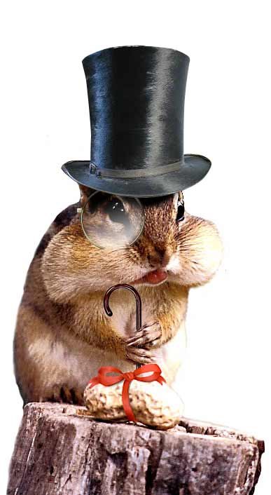 Наталья Жукова | Санкт-Петербург