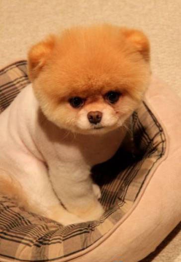 №8, Світлана Кримчак, Ватутино №8, Світлана Кримчак, Ватутино