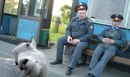 №4 Алёна Тошнова