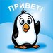 Кирилл Добромиров фотография #1