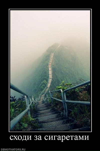 №19, Веталь Никоненко, 38 лет, Житомир №19, Веталь Никоненко, 38 лет, Житомир