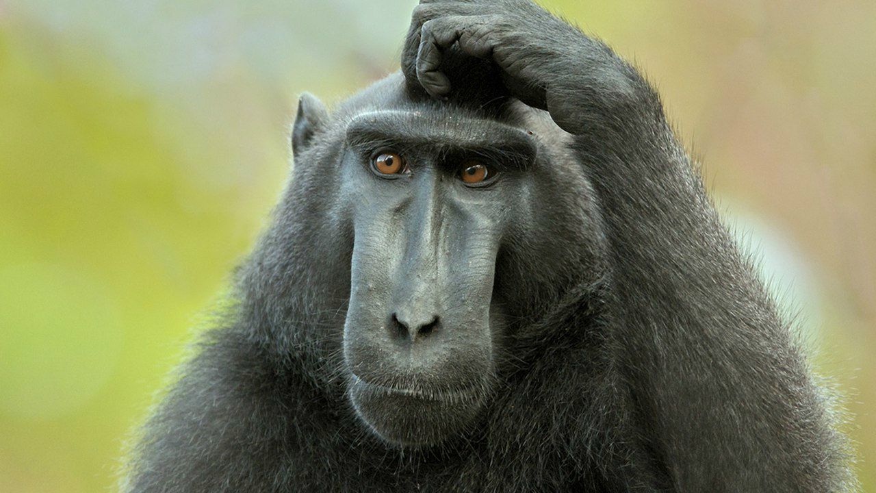 Алексей Зюганов Sqwer | Москва