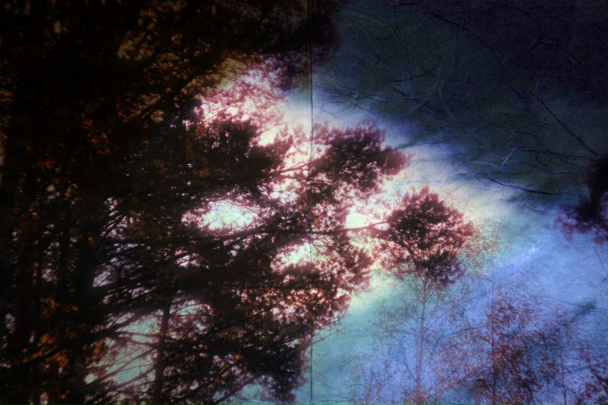 Kenny Харошая | 