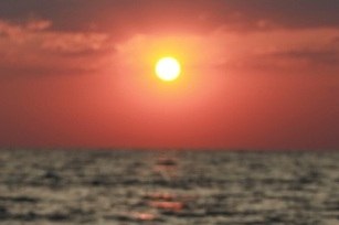 Римма Абрамович | 