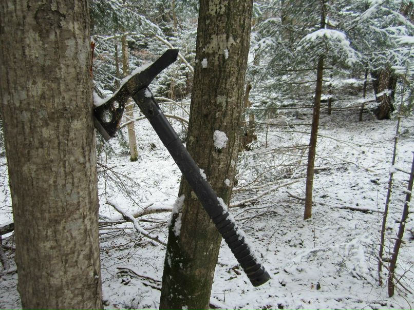 Орест Гавриляк | Львов