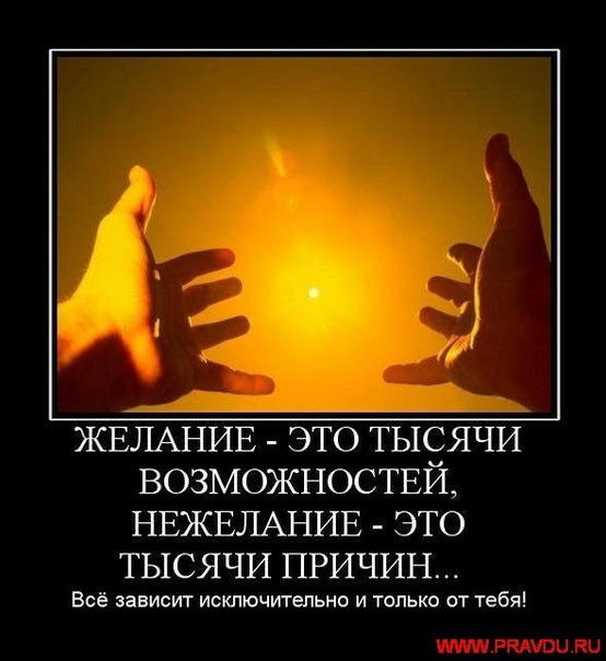 №121, Oll Streltsov, Одесса №121, Oll Streltsov, Одесса