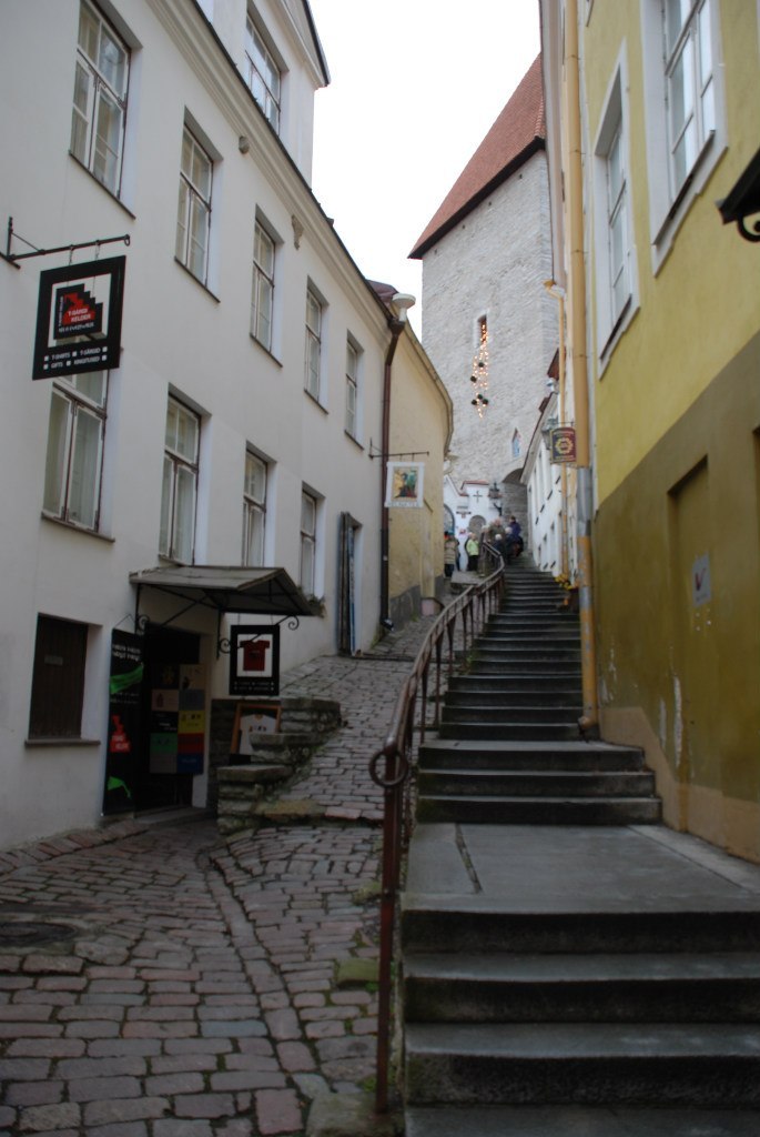 Катерина Димова | Санкт-Петербург