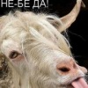 Аватар: Fylhtq Тоже я