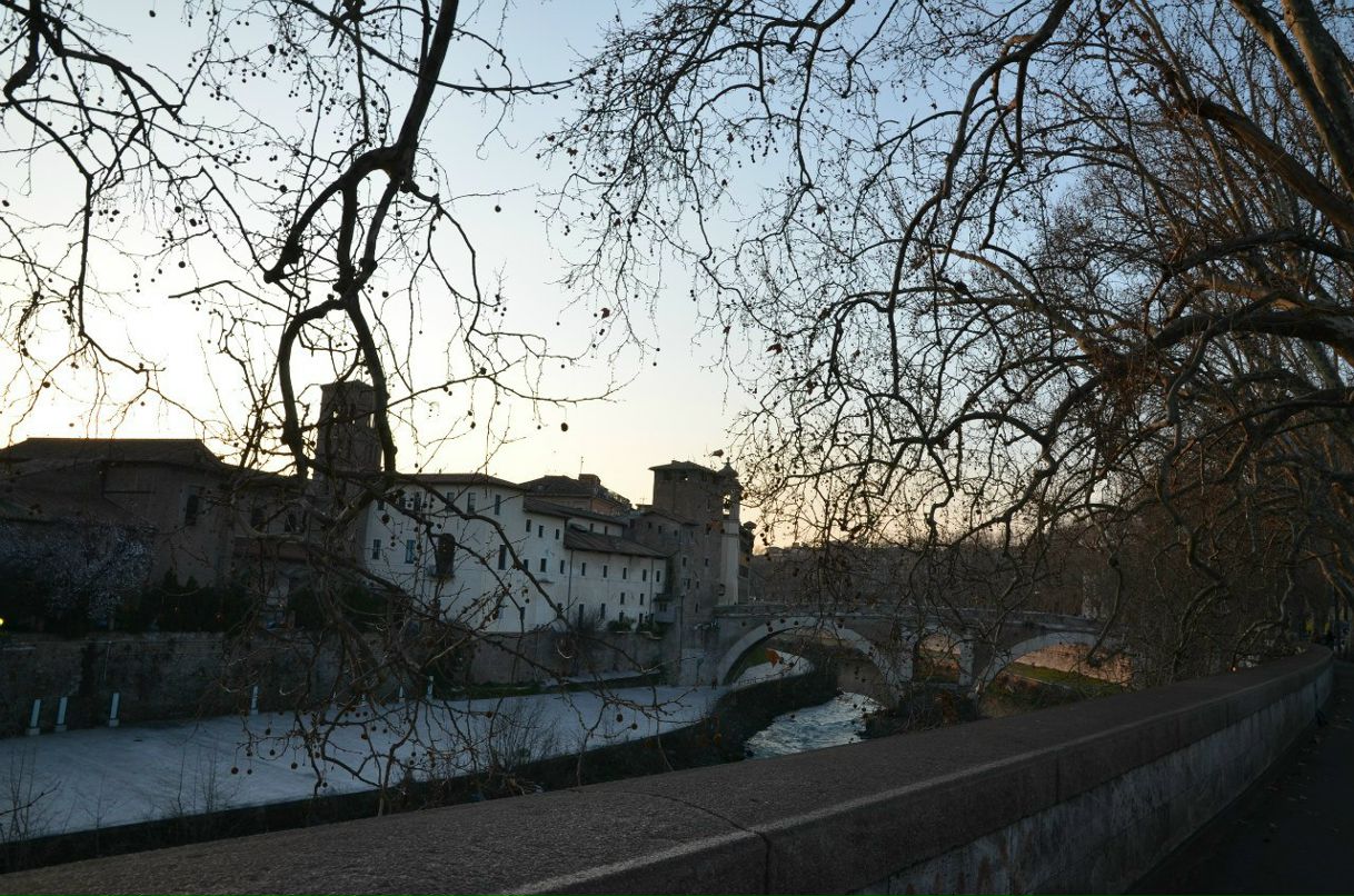 Мария Маркевич | 