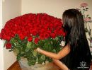 Фотография Марина Μитрофанова