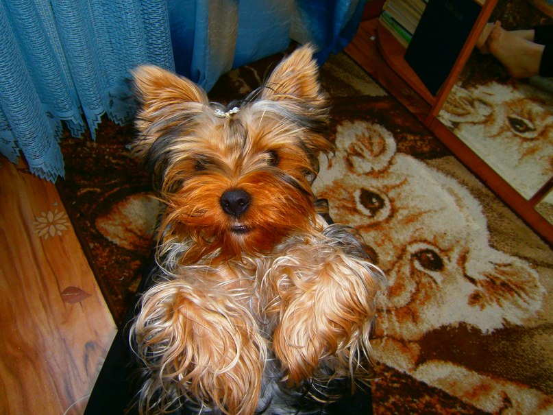 Анна Грачева | Орск