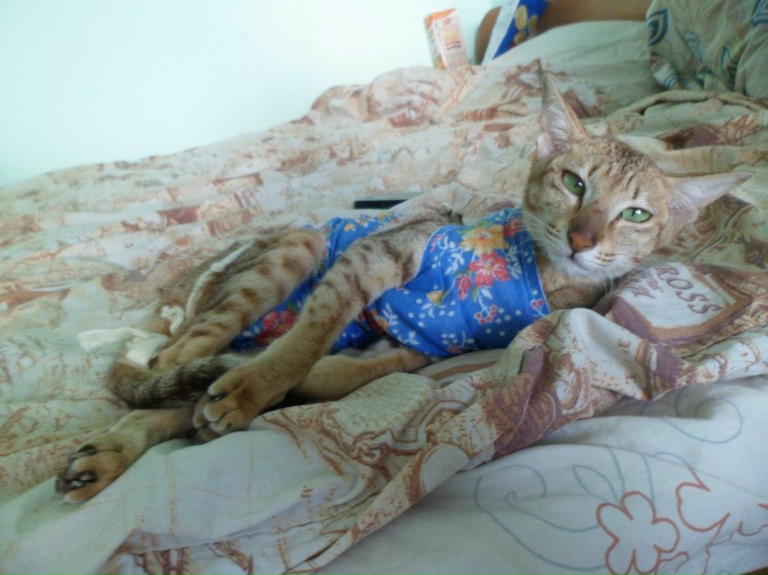 Александра Сивак | Санкт-Петербург