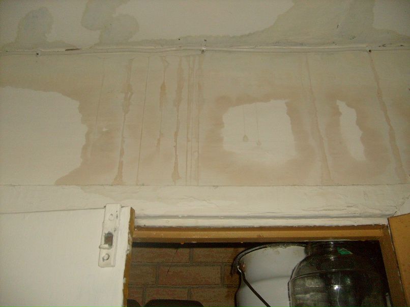 Михаил Берг | Санкт-Петербург