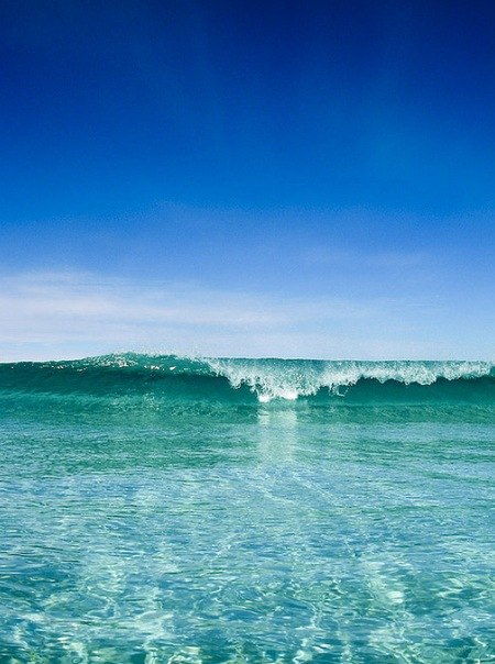 №61, Мария Анисимова №61, Мария Анисимова