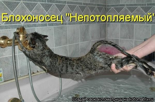 №5, Николай Гурьянов, 38 лет, Тереньга №5, Николай Гурьянов, 38 лет, Тереньга