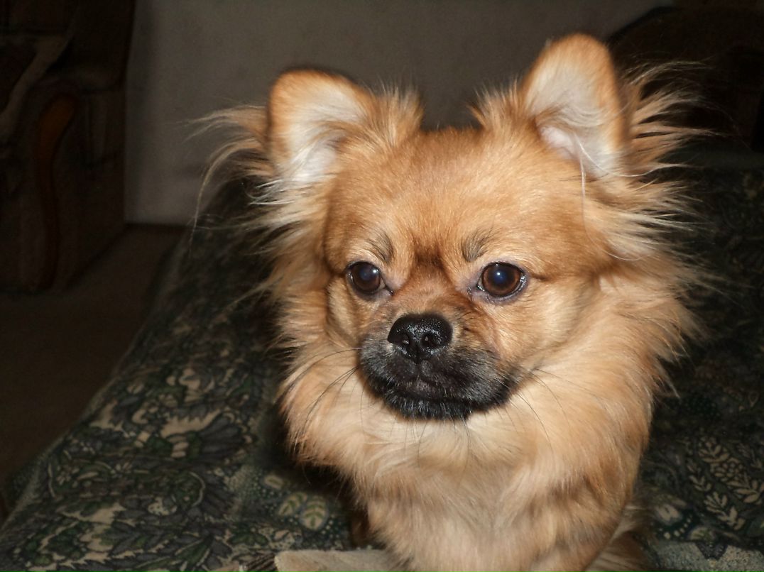 Екатерина Барбашова | Ярославль