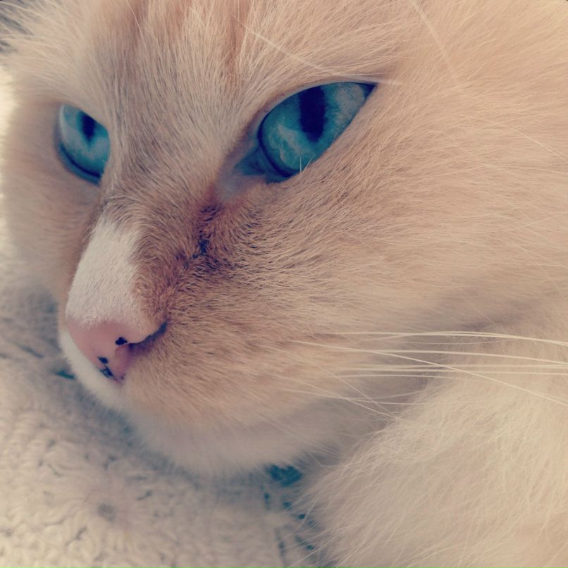 Ольга Ольгина | 