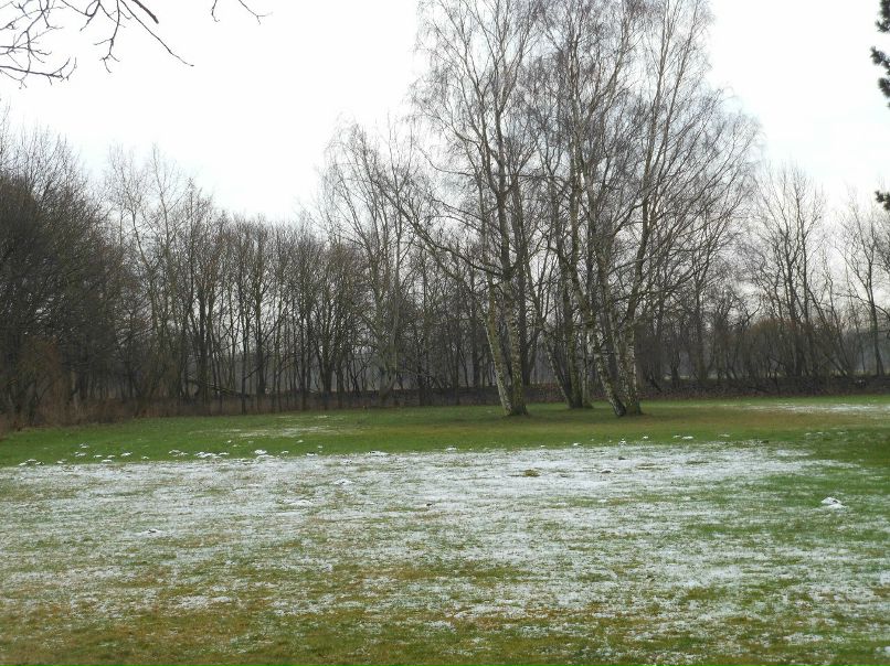 Georgij Jurkin | Hannover