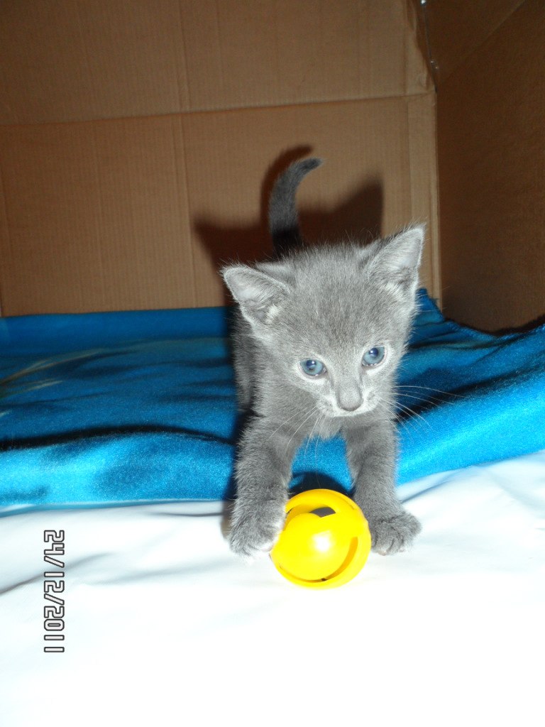 Ирина Егорова | Санкт-Петербург