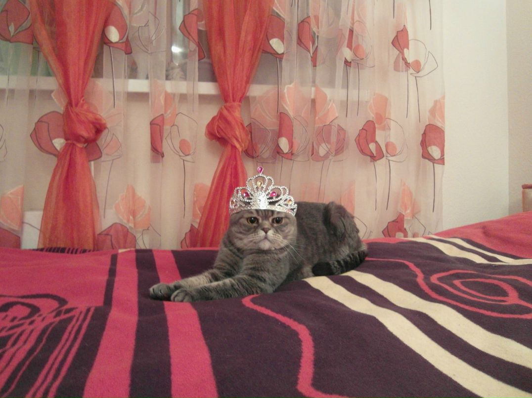 Дарья Голубова | Екатеринбург