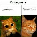 Фотография Дмитрий Посекунов