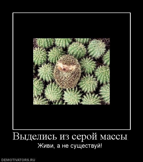 Александр Чаплыгин Геннадьевич | Фатеж