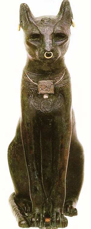 Alice Cullen | Москва