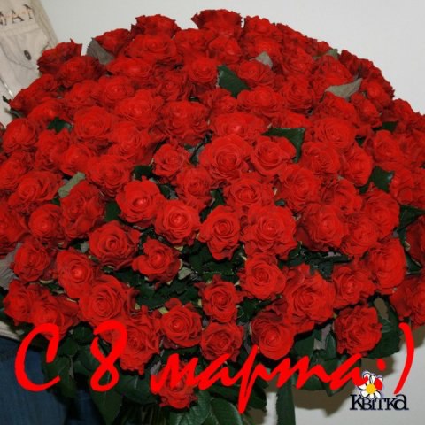 №2, Кристина Крупа №2, Кристина Крупа