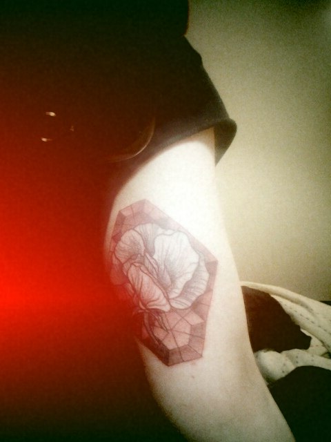 Дарья Гитманович | 