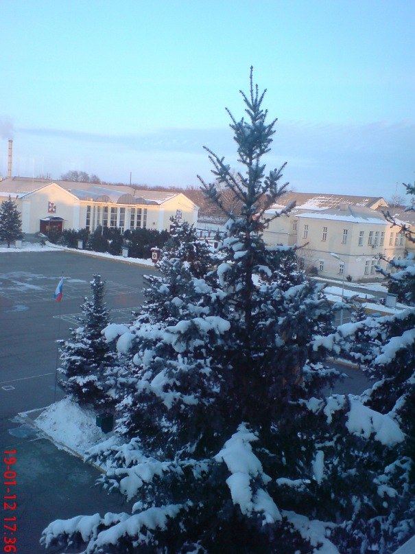 Артур Адамян | Ростов-на-Дону