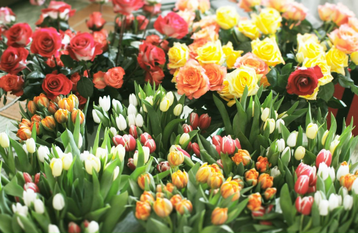 Ольга Лымарь | Москва