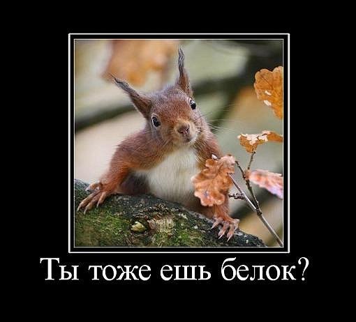 Олег Андріівський | Ивано-Франковск