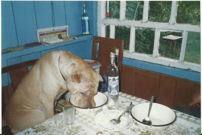 Николай Платонов Васильевич | Москва