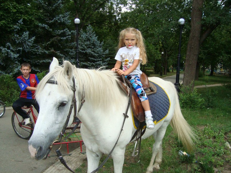 Павел Житков | Санкт-Петербург