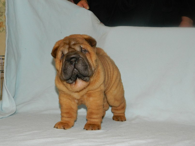 Татьяна Романова | Херсон