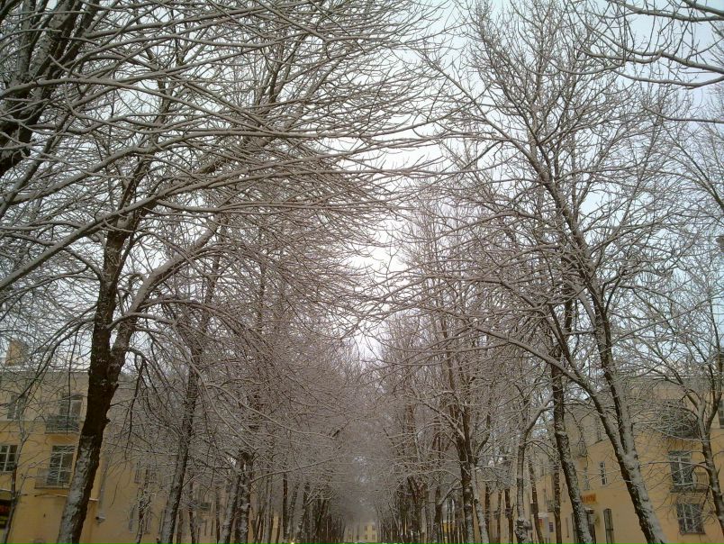 №11, Илья Живоглядов №11, Илья Живоглядов