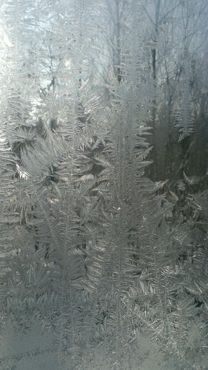 Павл Земляков рыжий | Ногинск-9