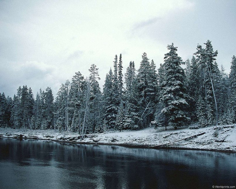 Niyaz Nazirov | Dubai