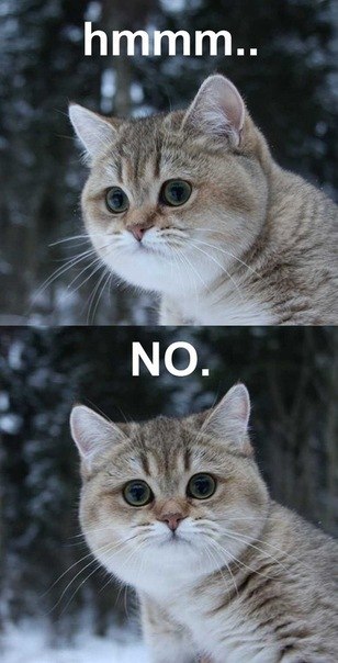 Юлия Погребная | Москва