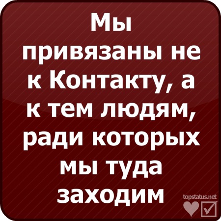 №7, Наргис Тимофеева, Санкт-Петербург №7, Наргис Тимофеева, Санкт-Петербург