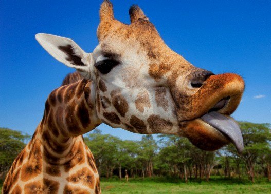 №195, Юлия Плешкова, 32 года, Пермь №195, Юлия Плешкова, 32 года, Пермь