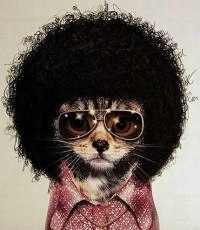 Ilya Molostov | Москва