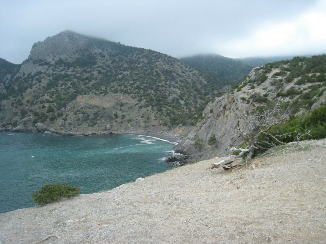 Ольга Петрук | Сумы