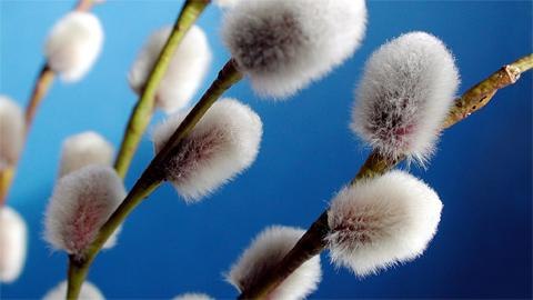 Татьяна Лайтинен | Kouvola