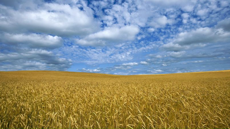 Іван Єфанов | Одесса