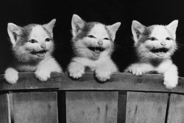 Dashka Nzb | Самара