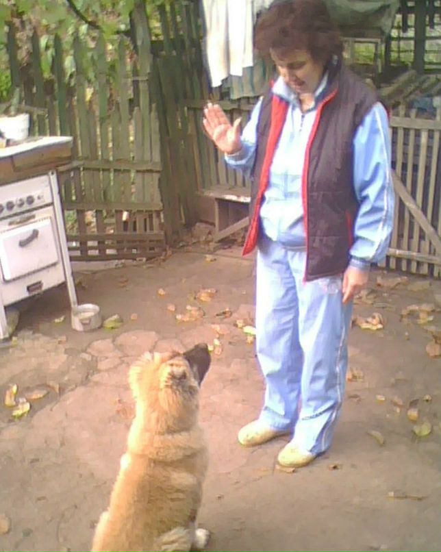 Brain Oconer | Днепр (Днепропетровск)