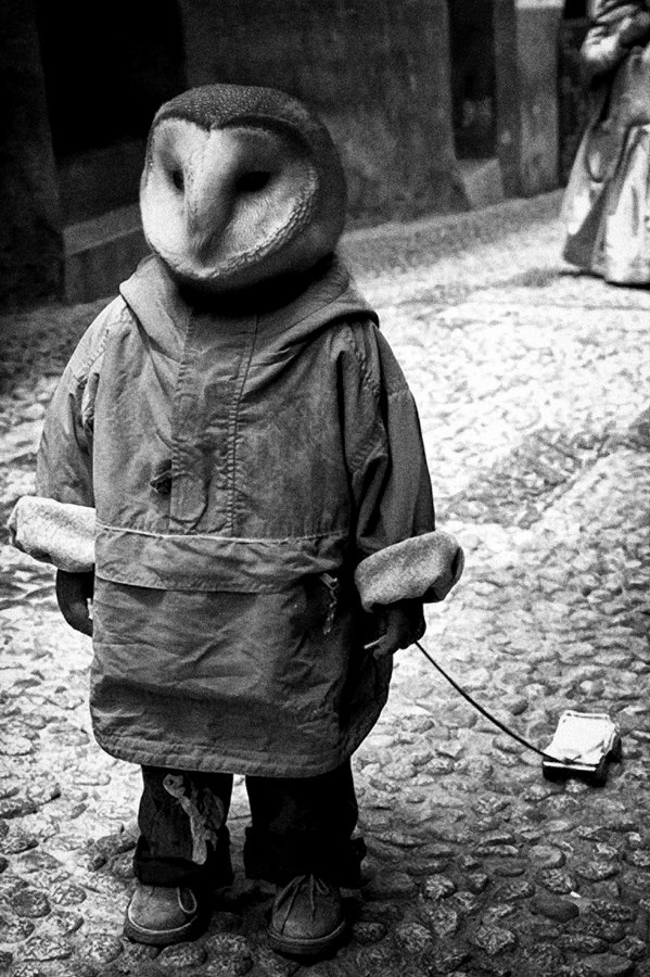 Алексей Сакров | Санкт-Петербург