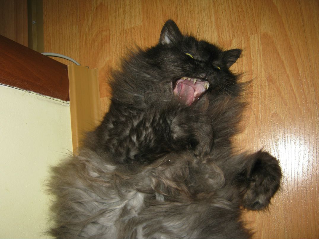 Денис Борисов Сергеевич | Красноярск