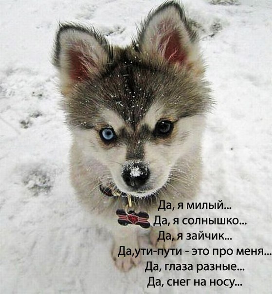 Наталья Томилова | Сыктывкар